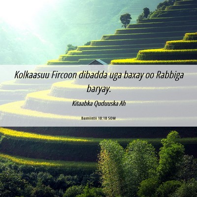 Picture 06 - Baxniintii 10:18 SOM - Kolkaasuu Fircoon dibadda uga baxay oo Rabbiga - Bible Verse Picture