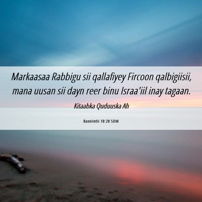 Picture 06 - Baxniintii 10:20 SOM - Markaasaa Rabbigu sii qallafiyey Fircoon - Bible Verse Picture