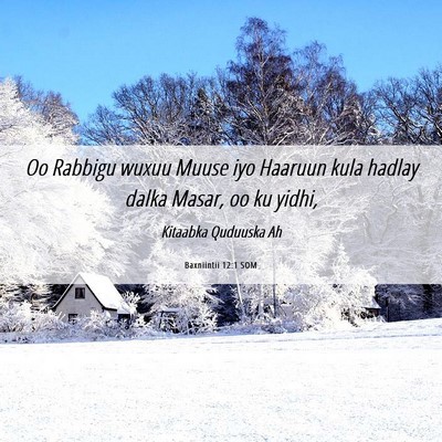 Picture 06 - Baxniintii 12:1 SOM - Oo Rabbigu wuxuu Muuse iyo Haaruun kula hadlay - Bible Verse Picture