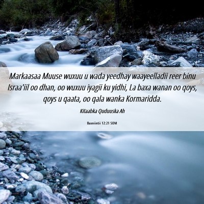 Picture 06 - Baxniintii 12:21 SOM - Markaasaa Muuse wuxuu u wada yeedhay waayeelladii - Bible Verse Picture