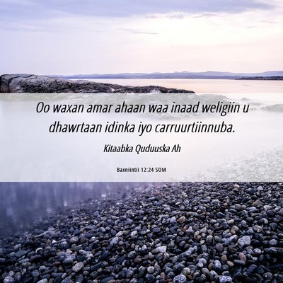 Picture 06 - Baxniintii 12:24 SOM - Oo waxan amar ahaan waa inaad weligiin u - Bible Verse Picture