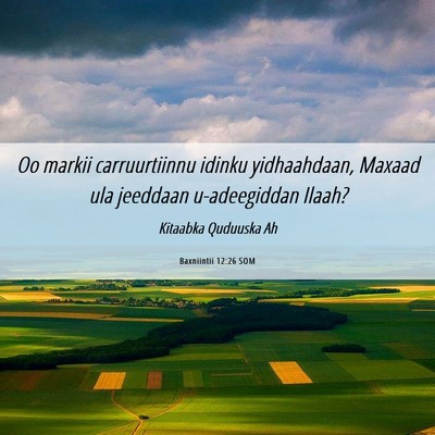 Picture 06 - Baxniintii 12:26 SOM - Oo markii carruurtiinnu idinku yidhaahdaan, - Bible Verse Picture