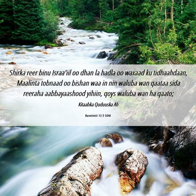 Picture 06 - Baxniintii 12:3 SOM - Shirka reer binu Israa'iil oo dhan la hadla oo - Bible Verse Picture