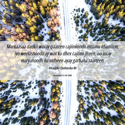 Picture 06 - Baxniintii 12:34 SOM - Markaasaa dadkii waxay qaateen cajiinkoodii - Bible Verse Picture