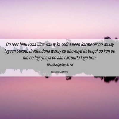 Picture 06 - Baxniintii 12:37 SOM - Oo reer binu Israa'iilna waxay ka sodcaaleen - Bible Verse Picture