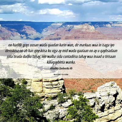 Picture 06 - Baxniintii 12:4 SOM - oo haddii qoys uusan wada qaadan karin wan, de - Bible Verse Picture