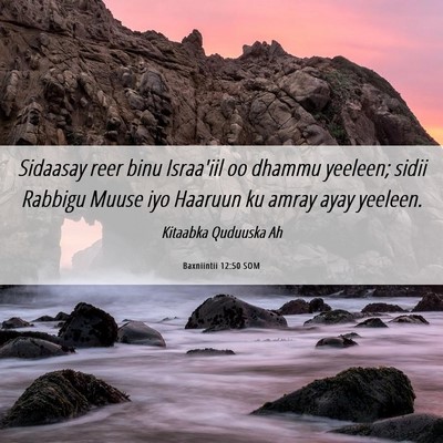 Picture 06 - Baxniintii 12:50 SOM - Sidaasay reer binu Israa'iil oo dhammu yeeleen; - Bible Verse Picture