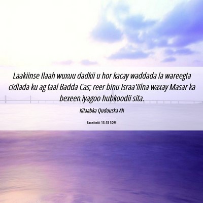 Picture 06 - Baxniintii 13:18 SOM - Laakiinse Ilaah wuxuu dadkii u hor kacay waddada - Bible Verse Picture