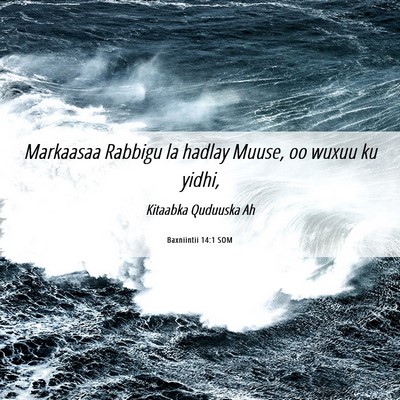 Picture 06 - Baxniintii 14:1 SOM - Markaasaa Rabbigu la hadlay Muuse, oo wuxuu ku - Bible Verse Picture