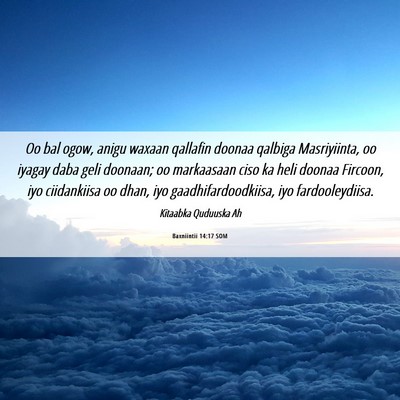 Picture 06 - Baxniintii 14:17 SOM - Oo bal ogow, anigu waxaan qallafin doonaa qalbiga - Bible Verse Picture