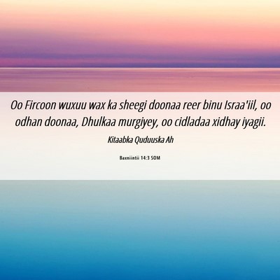Picture 06 - Baxniintii 14:3 SOM - Oo Fircoon wuxuu wax ka sheegi doonaa reer binu - Bible Verse Picture