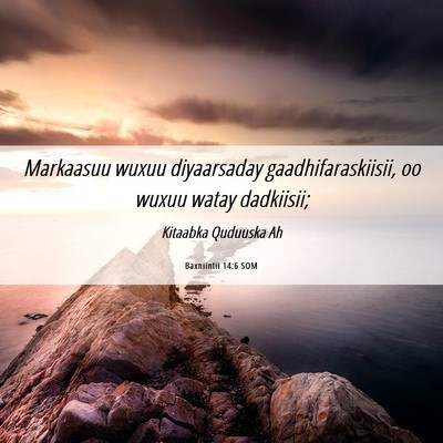 Picture 06 - Baxniintii 14:6 SOM - Markaasuu wuxuu diyaarsaday gaadhifaraskiisii, oo - Bible Verse Picture