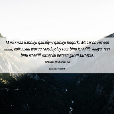 Picture 06 - Baxniintii 14:8 SOM - Markaasaa Rabbigu qallafiyey qalbigii boqorkii - Bible Verse Picture