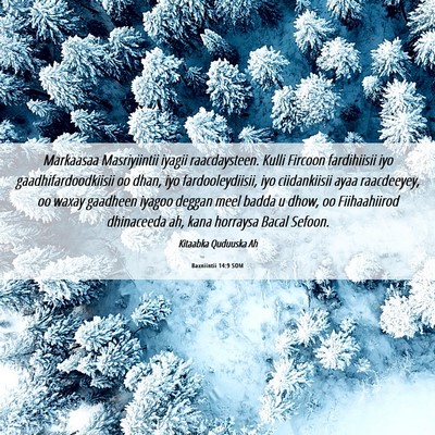 Picture 06 - Baxniintii 14:9 SOM - Markaasaa Masriyiintii iyagii raacdaysteen. Kulli - Bible Verse Picture