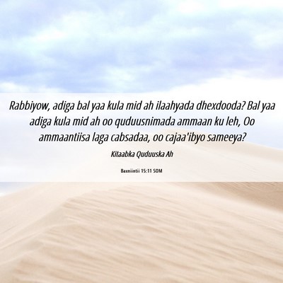 Picture 06 - Baxniintii 15:11 SOM - Rabbiyow, adiga bal yaa kula mid ah ilaahyada - Bible Verse Picture