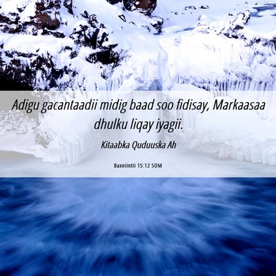 Picture 06 - Baxniintii 15:12 SOM - Adigu gacantaadii midig baad soo fidisay, - Bible Verse Picture