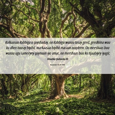 Picture 06 - Baxniintii 15:25 SOM - Kolkaasuu Rabbiga u qayshaday, oo Rabbigu wuxuu - Bible Verse Picture