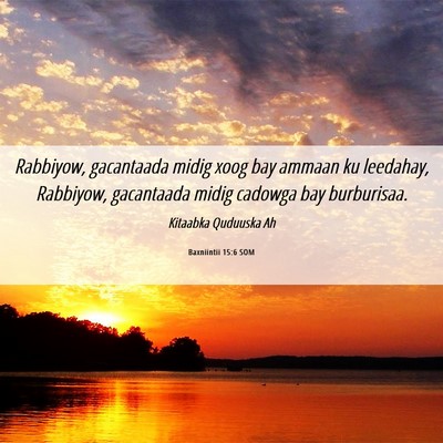 Picture 06 - Baxniintii 15:6 SOM - Rabbiyow, gacantaada midig xoog bay ammaan ku - Bible Verse Picture