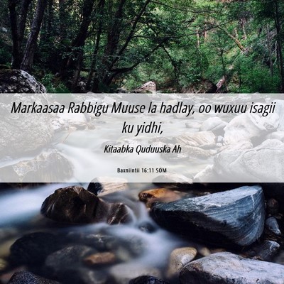 Picture 06 - Baxniintii 16:11 SOM - Markaasaa Rabbigu Muuse la hadlay, oo wuxuu - Bible Verse Picture
