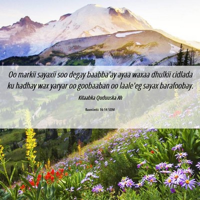 Picture 06 - Baxniintii 16:14 SOM - Oo markii sayaxii soo degay baabba'ay ayaa waxaa - Bible Verse Picture