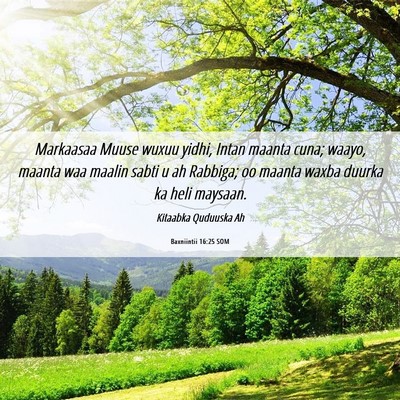 Picture 06 - Baxniintii 16:25 SOM - Markaasaa Muuse wuxuu yidhi, Intan maanta cuna; - Bible Verse Picture