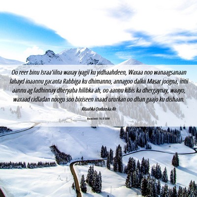 Picture 06 - Baxniintii 16:3 SOM - Oo reer binu Israa'iilna waxay iyagii ku - Bible Verse Picture