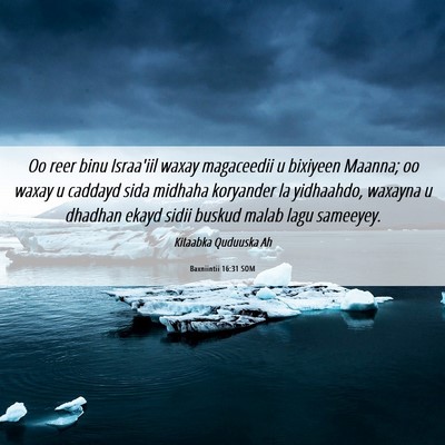 Picture 06 - Baxniintii 16:31 SOM - Oo reer binu Israa'iil waxay magaceedii u - Bible Verse Picture