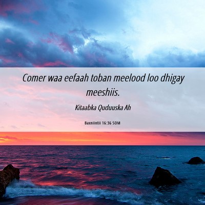 Picture 06 - Baxniintii 16:36 SOM - Comer waa eefaah toban meelood loo dhigay - Bible Verse Picture