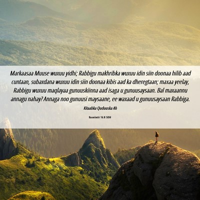 Picture 06 - Baxniintii 16:8 SOM - Markaasaa Muuse wuxuu yidhi; Rabbigu makhribka - Bible Verse Picture