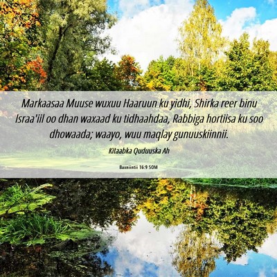 Picture 06 - Baxniintii 16:9 SOM - Markaasaa Muuse wuxuu Haaruun ku yidhi, Shirka - Bible Verse Picture