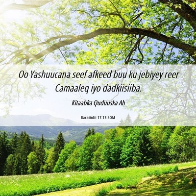 Picture 06 - Baxniintii 17:13 SOM - Oo Yashuucana seef afkeed buu ku jebiyey reer - Bible Verse Picture