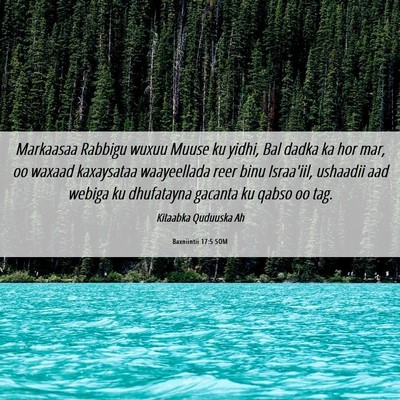 Picture 06 - Baxniintii 17:5 SOM - Markaasaa Rabbigu wuxuu Muuse ku yidhi, Bal dadka - Bible Verse Picture