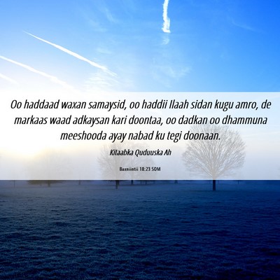 Picture 06 - Baxniintii 18:23 SOM - Oo haddaad waxan samaysid, oo haddii Ilaah sidan - Bible Verse Picture