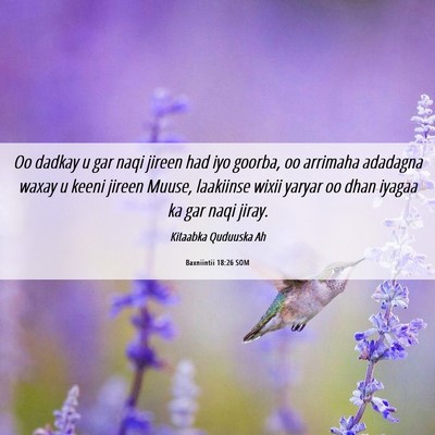 Picture 06 - Baxniintii 18:26 SOM - Oo dadkay u gar naqi jireen had iyo goorba, oo - Bible Verse Picture