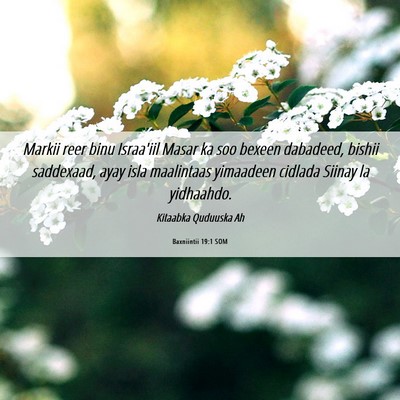Picture 06 - Baxniintii 19:1 SOM - Markii reer binu Israa'iil Masar ka soo bexeen - Bible Verse Picture