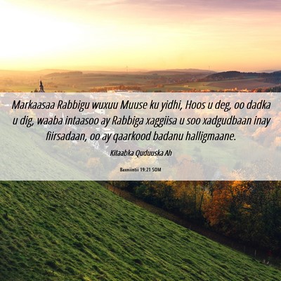 Picture 06 - Baxniintii 19:21 SOM - Markaasaa Rabbigu wuxuu Muuse ku yidhi, Hoos u - Bible Verse Picture