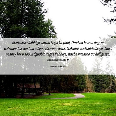 Picture 06 - Baxniintii 19:24 SOM - Markaasaa Rabbigu wuxuu isagii ku yidhi, Orod oo - Bible Verse Picture