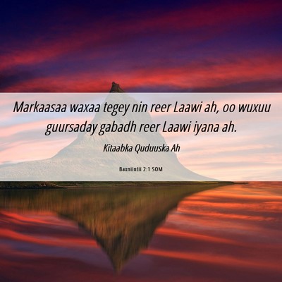 Picture 06 - Baxniintii 2:1 SOM - Markaasaa waxaa tegey nin reer Laawi ah, oo wuxuu - Bible Verse Picture