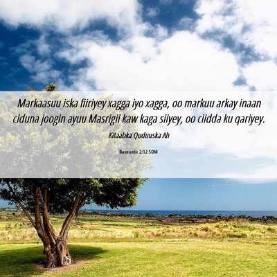 Picture 06 - Baxniintii 2:12 SOM - Markaasuu iska fiiriyey xagga iyo xagga, oo - Bible Verse Picture