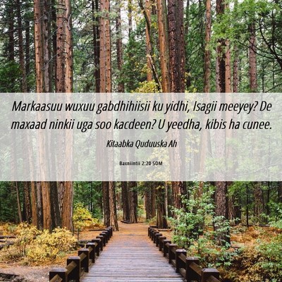 Picture 06 - Baxniintii 2:20 SOM - Markaasuu wuxuu gabdhihiisii ku yidhi, Isagii - Bible Verse Picture