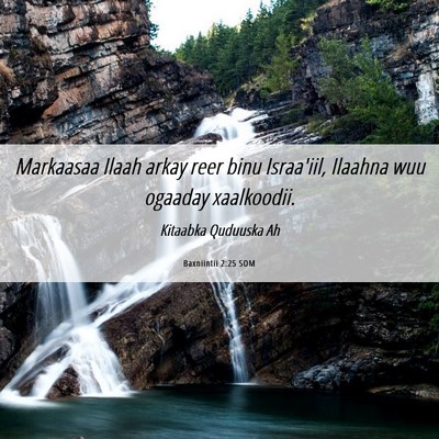 Picture 06 - Baxniintii 2:25 SOM - Markaasaa Ilaah arkay reer binu Israa'iil, - Bible Verse Picture
