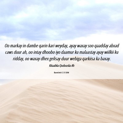 Picture 06 - Baxniintii 2:3 SOM - Oo markay in dambe qarin kari weyday, ayay waxay - Bible Verse Picture