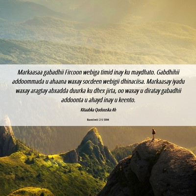 Picture 06 - Baxniintii 2:5 SOM - Markaasaa gabadhii Fircoon webiga timid inay ku - Bible Verse Picture
