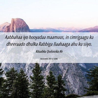 Picture 06 - Baxniintii 20:12 SOM - Aabbahaa iyo hooyadaa maamuus, in cimrigaagu ku - Bible Verse Picture