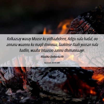 Picture 06 - Baxniintii 20:19 SOM - Kolkaasay waxay Muuse ku yidhaahdeen, Adigu nala - Bible Verse Picture