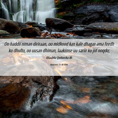 Picture 06 - Baxniintii 21:18 SOM - Oo haddii niman diriraan, oo midkood kan kale - Bible Verse Picture