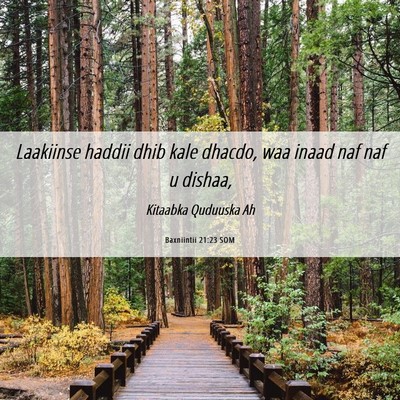 Picture 06 - Baxniintii 21:23 SOM - Laakiinse haddii dhib kale dhacdo, waa inaad naf - Bible Verse Picture