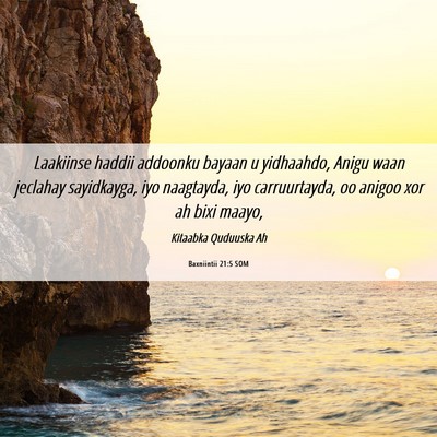 Picture 06 - Baxniintii 21:5 SOM - Laakiinse haddii addoonku bayaan u yidhaahdo, - Bible Verse Picture
