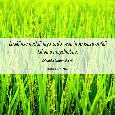 Picture 06 - Baxniintii 22:12 SOM - Laakiinse haddii laga xado, waa inuu isagu qofkii - Bible Verse Picture