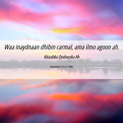Picture 06 - Baxniintii 22:22 SOM - Waa inaydnaan dhibin carmal, ama ilmo agoon - Bible Verse Picture